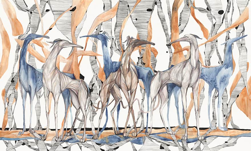 Galgo – Wonderwall Studio