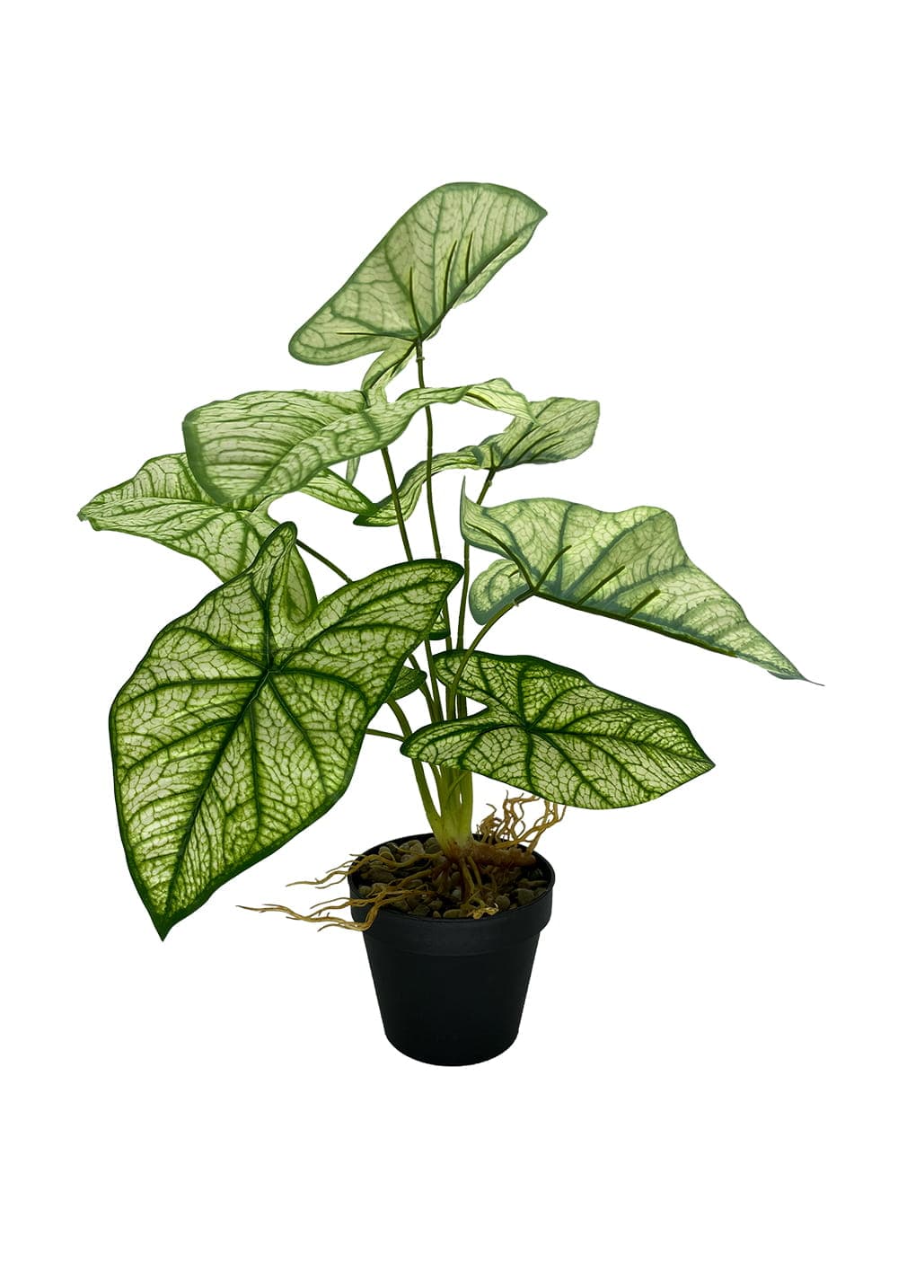 Plante Syngonium artificielle 54 cm – Green Designers