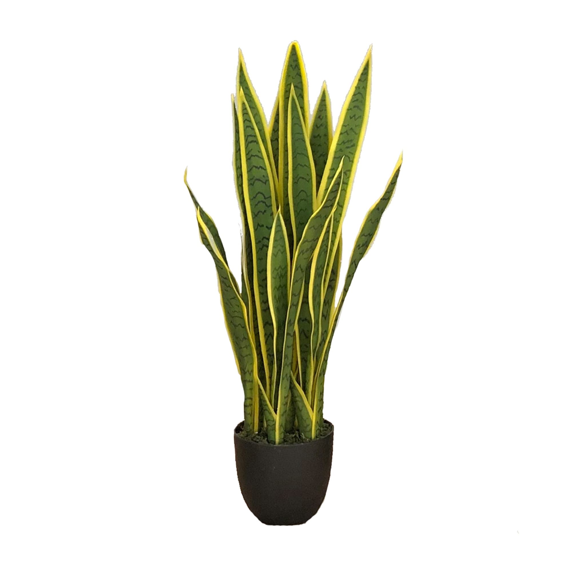 Plante artificielle Sansevieria Laurentii 90 cm – Green Designers