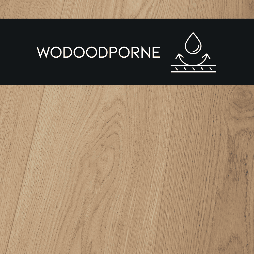 Panneau stratifié Chêne Miodowy – Premium Floor