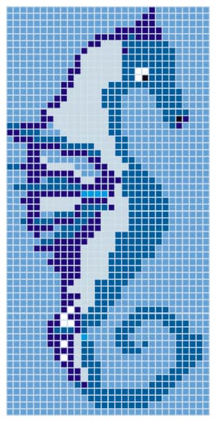 Mosaïque Q Sea Horse