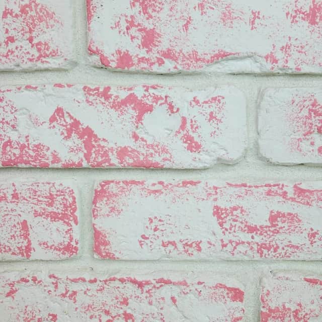 Rose pastel blanchi