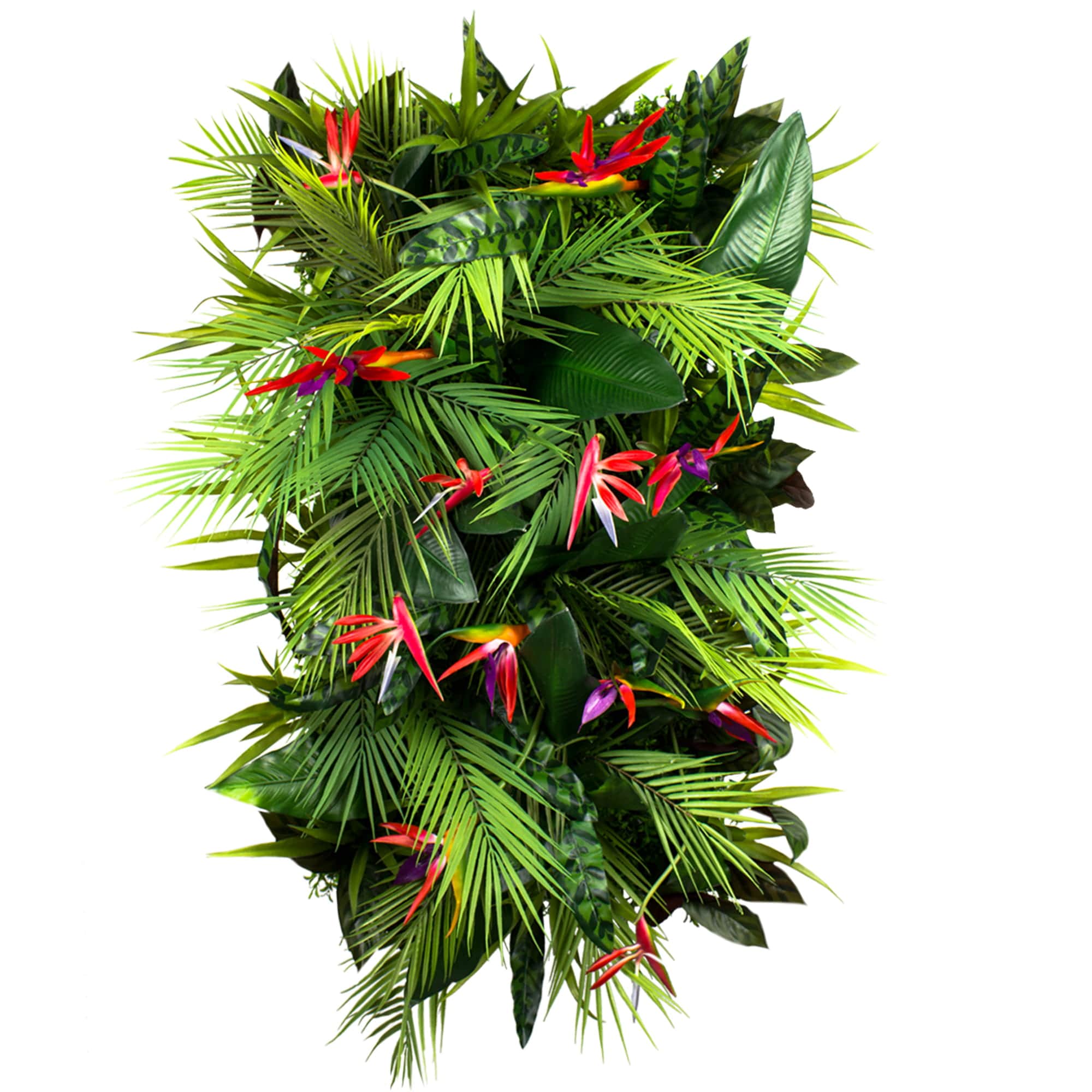 Jardin vertical fruit de la passion