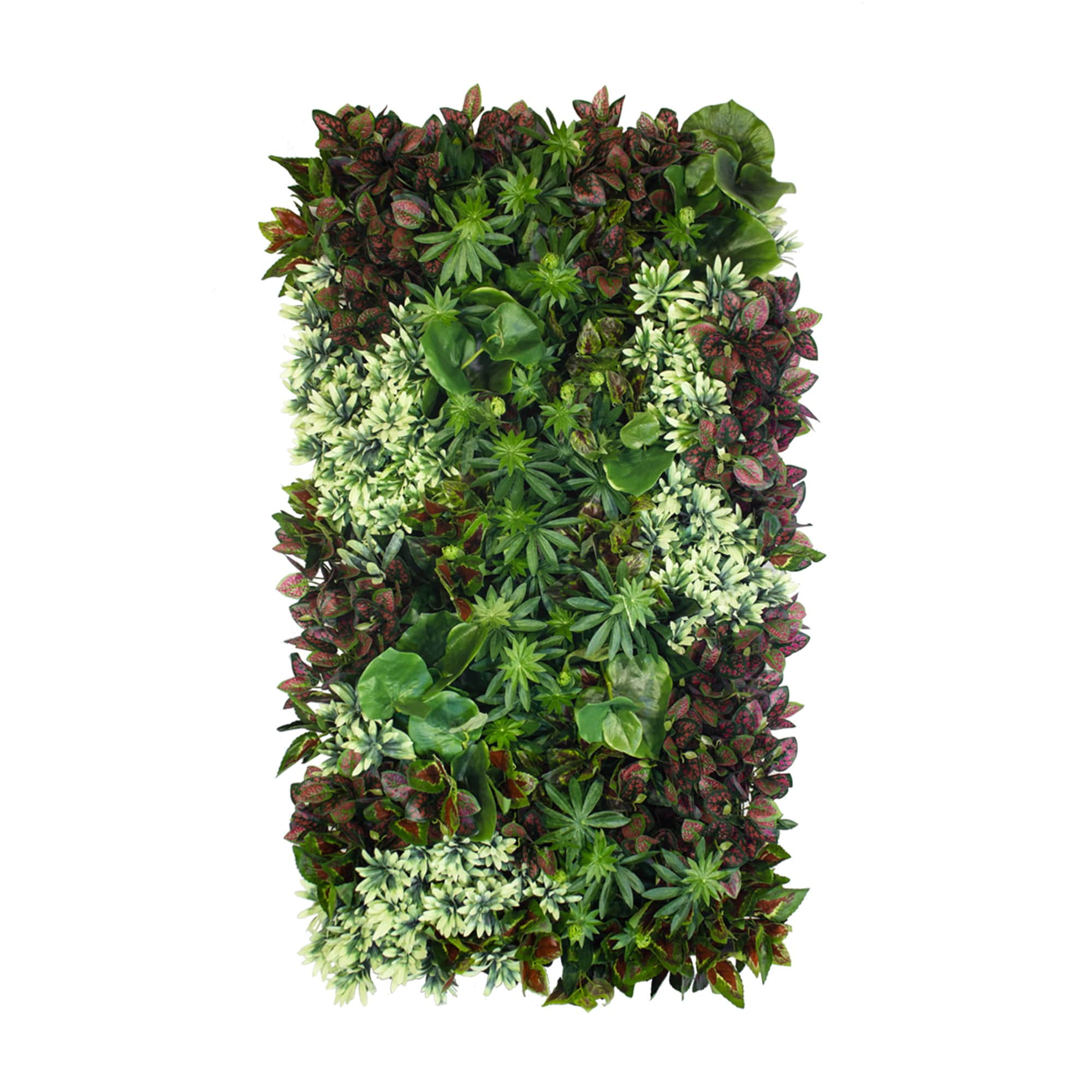 Jardin vertical toundra