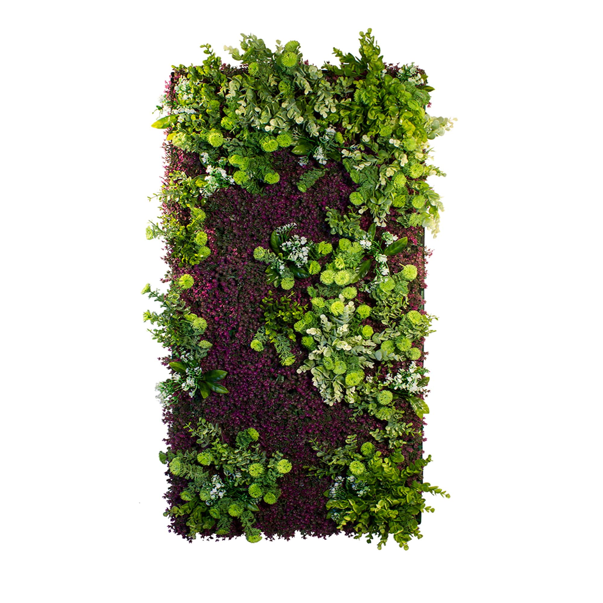 Jardin vertical Purple Haze – Green Designers