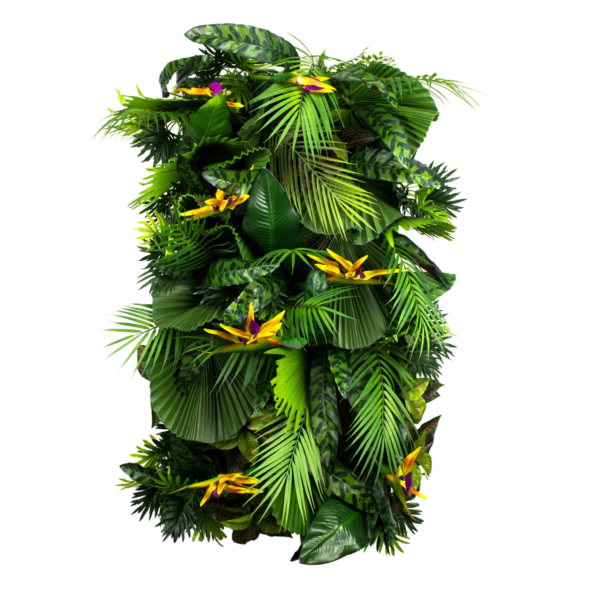 Jardin vertical Exotic Vibe