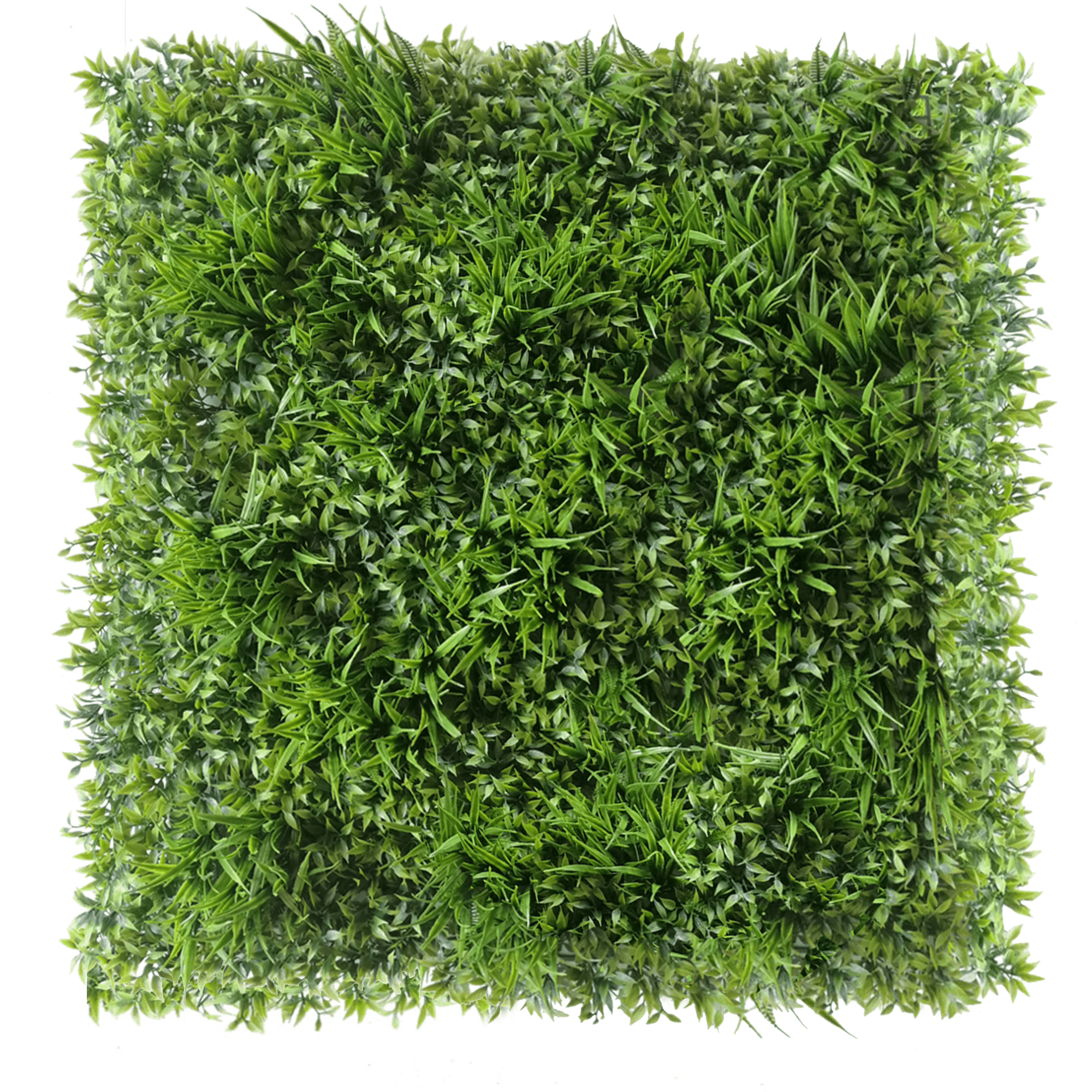 Mur végétal Ruskus 50x50cm