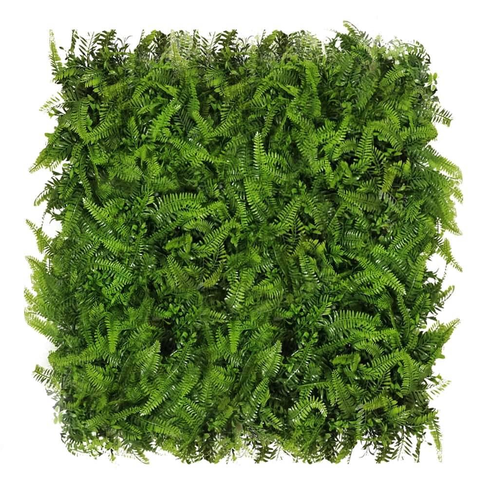 Mur végétal Paprotnik 50x50cm – Green Designers