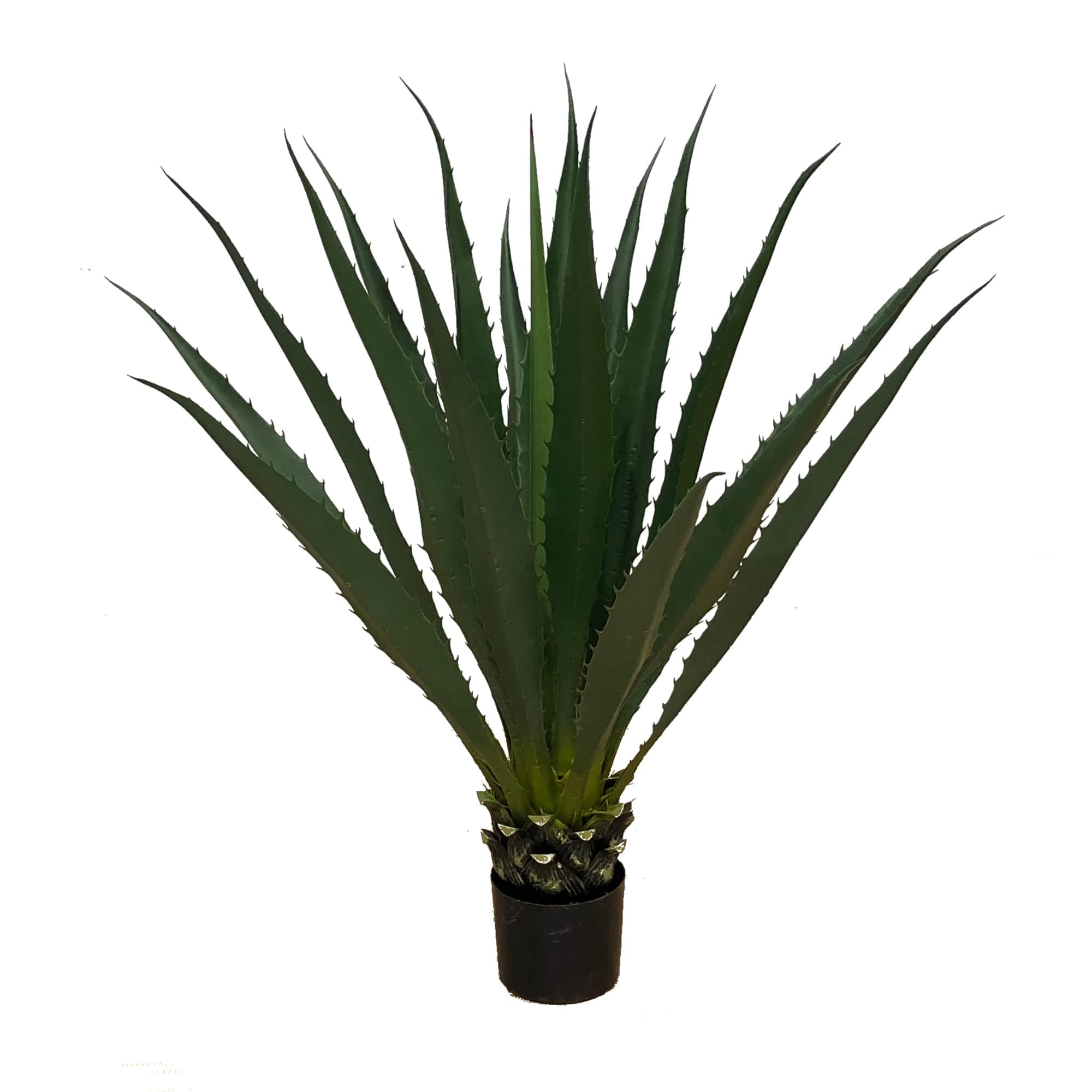 Plante décorative Agave Americana 100 cm – Green Designers