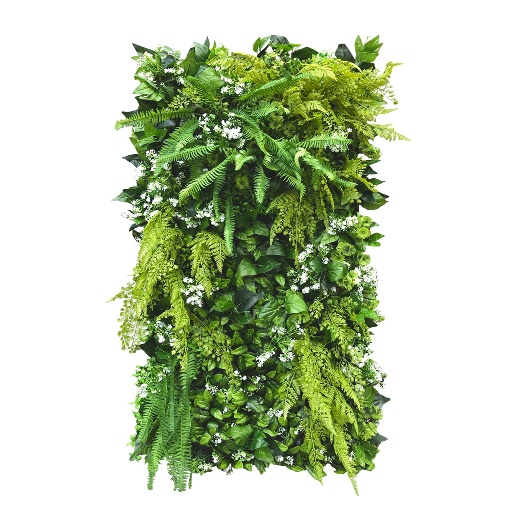 Jardin vertical marguerite blanche