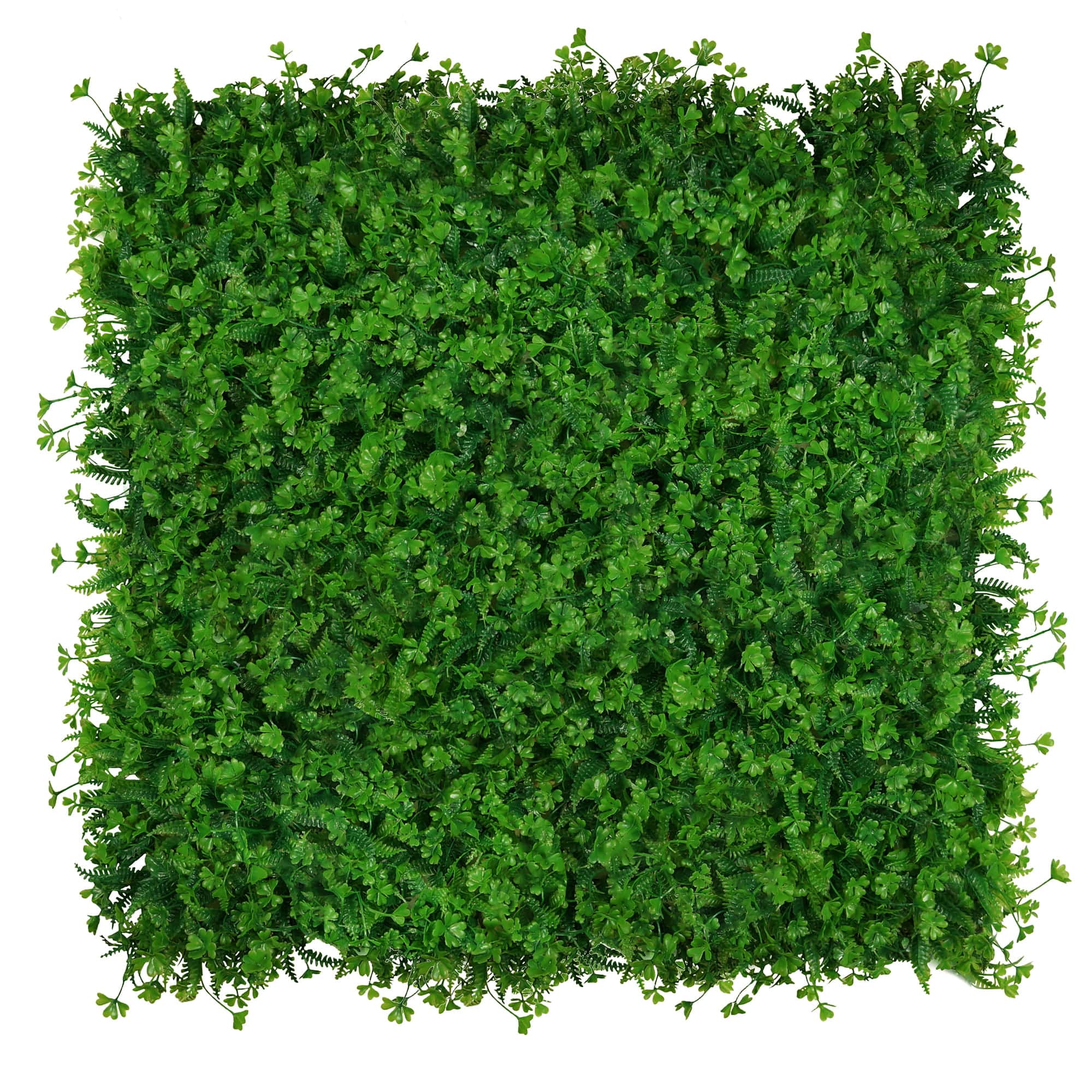 Mur végétal Trèfle 50x50cm