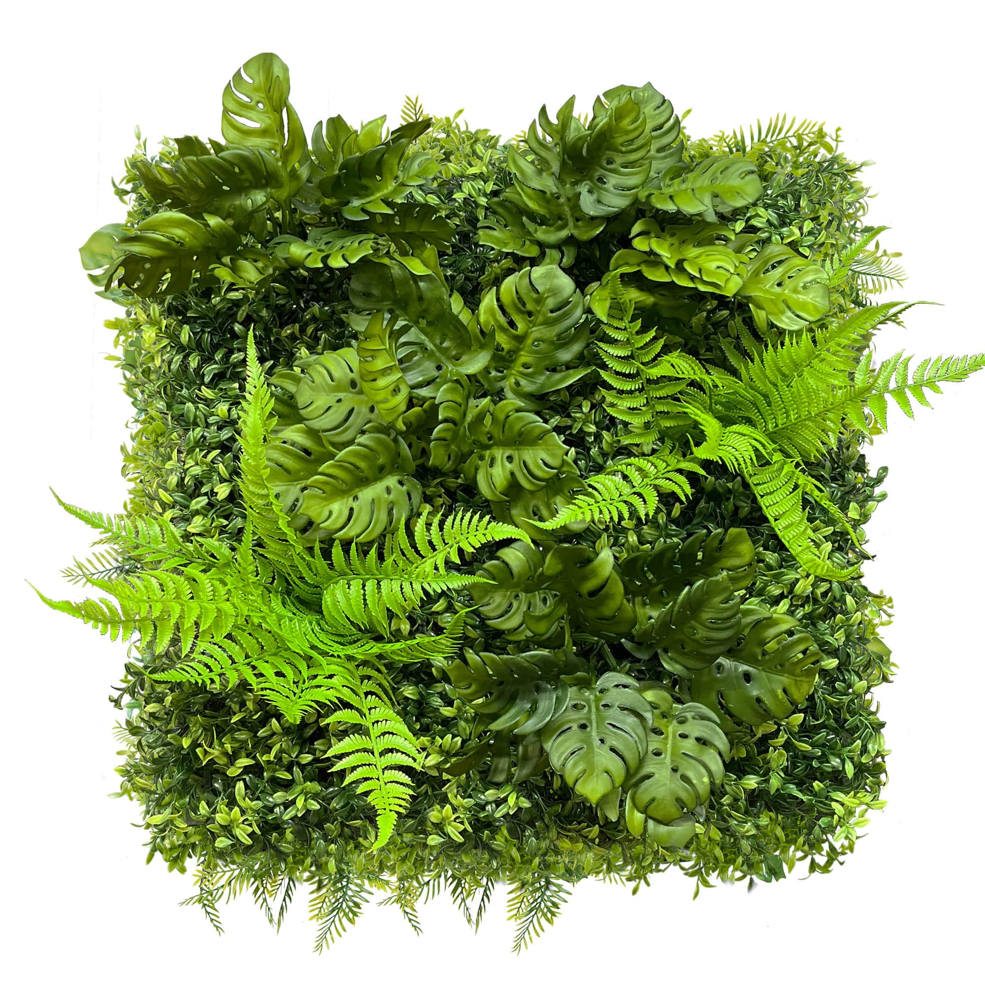 Mur végétal Monstera 50x50cm