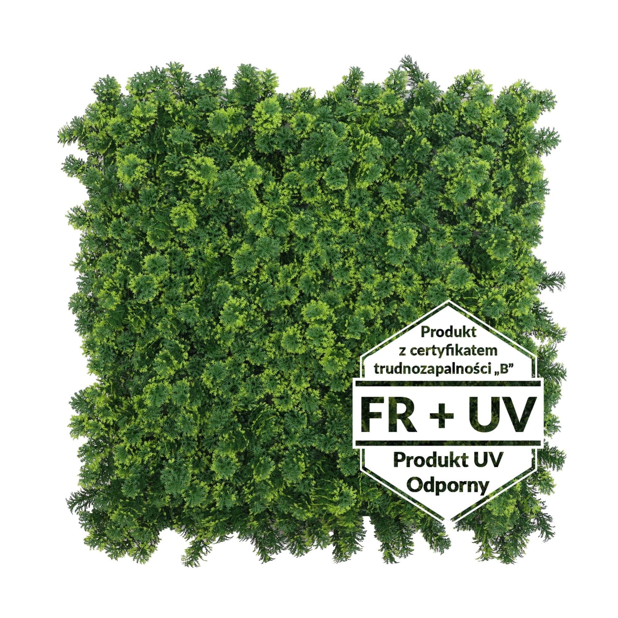 Tapis vert artificiel Ptérygion FR - B UV 50x50cm – Green Designers