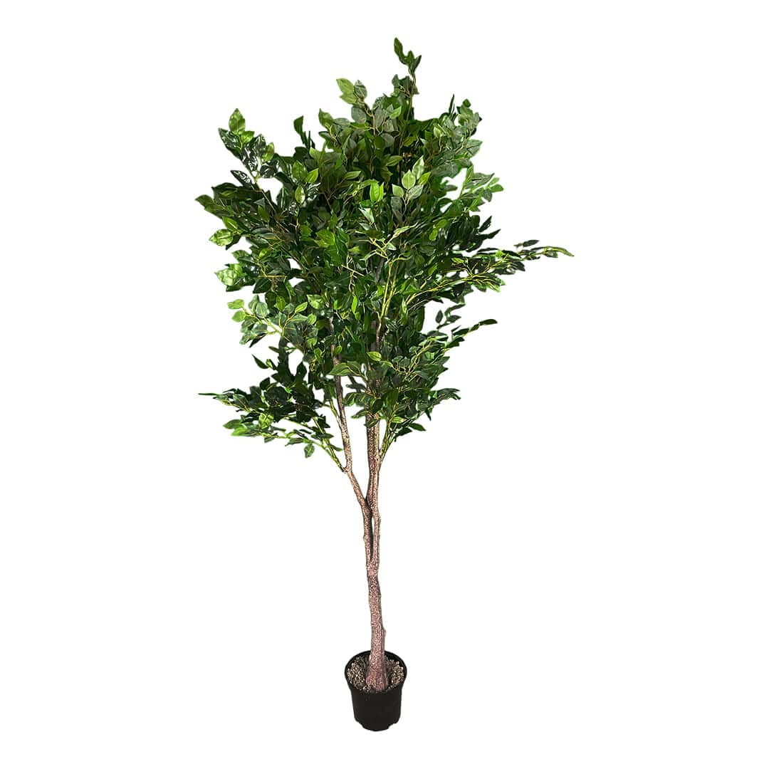 Plante artificielle Ficus Benjamin 180cm – Green Designers