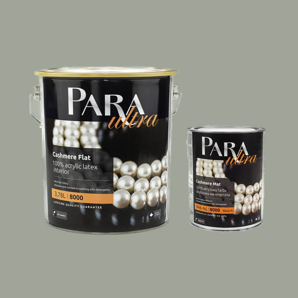 Peinture PARA Ultra 8000 CHARCOAL TINT
