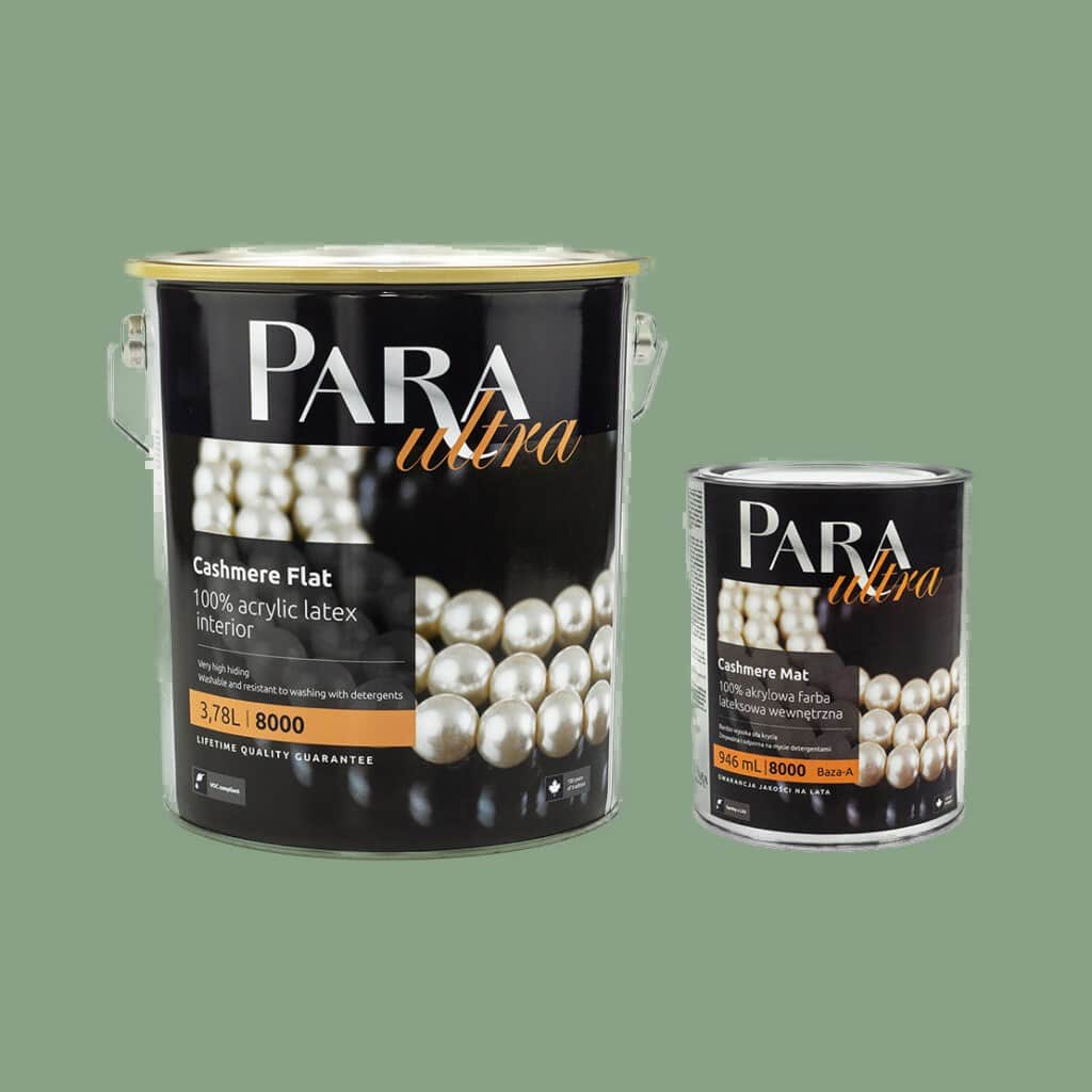 Peinture PARA Ultra 8000 MOUNTAIN FERN