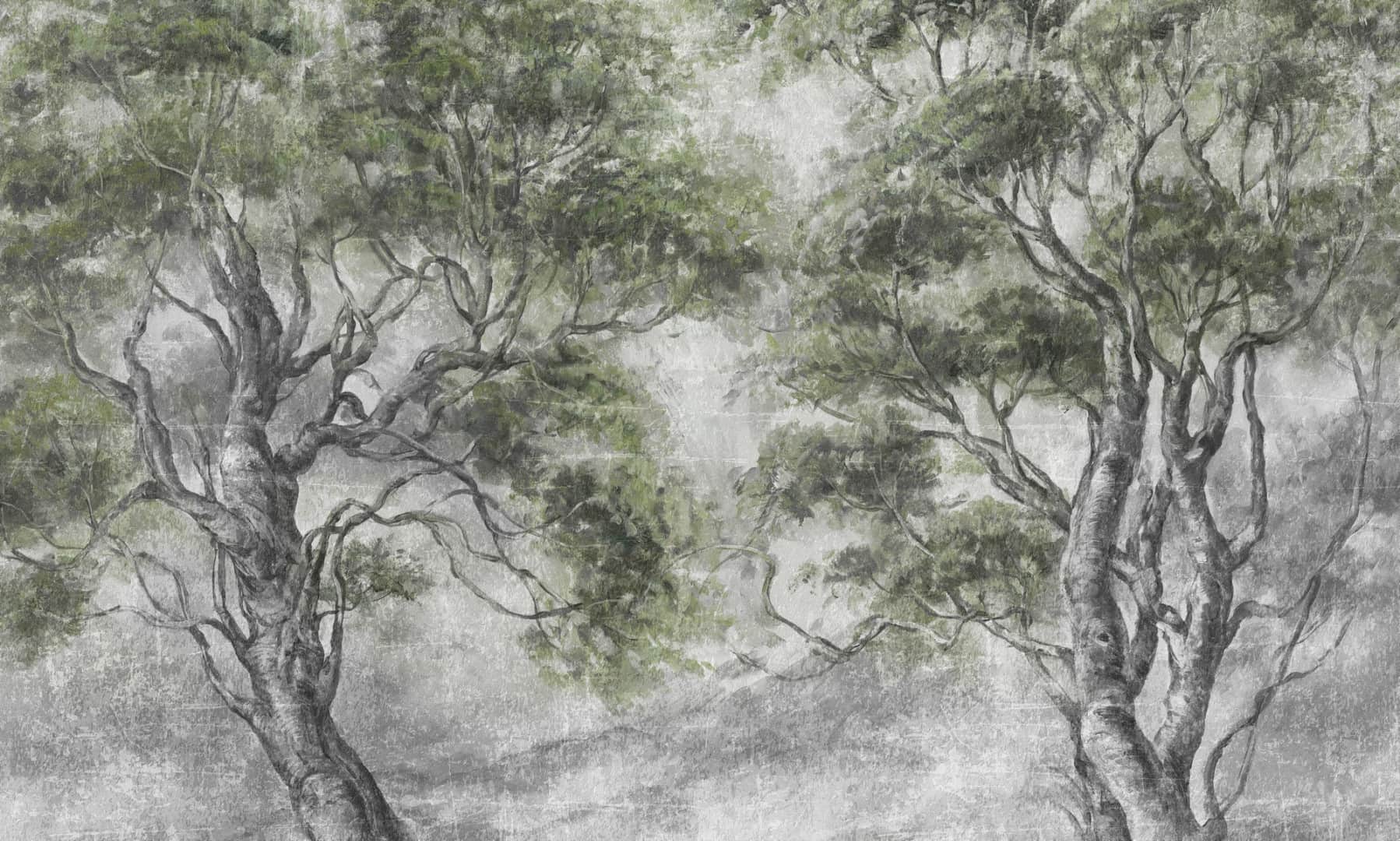 Papier peint Forest escape
