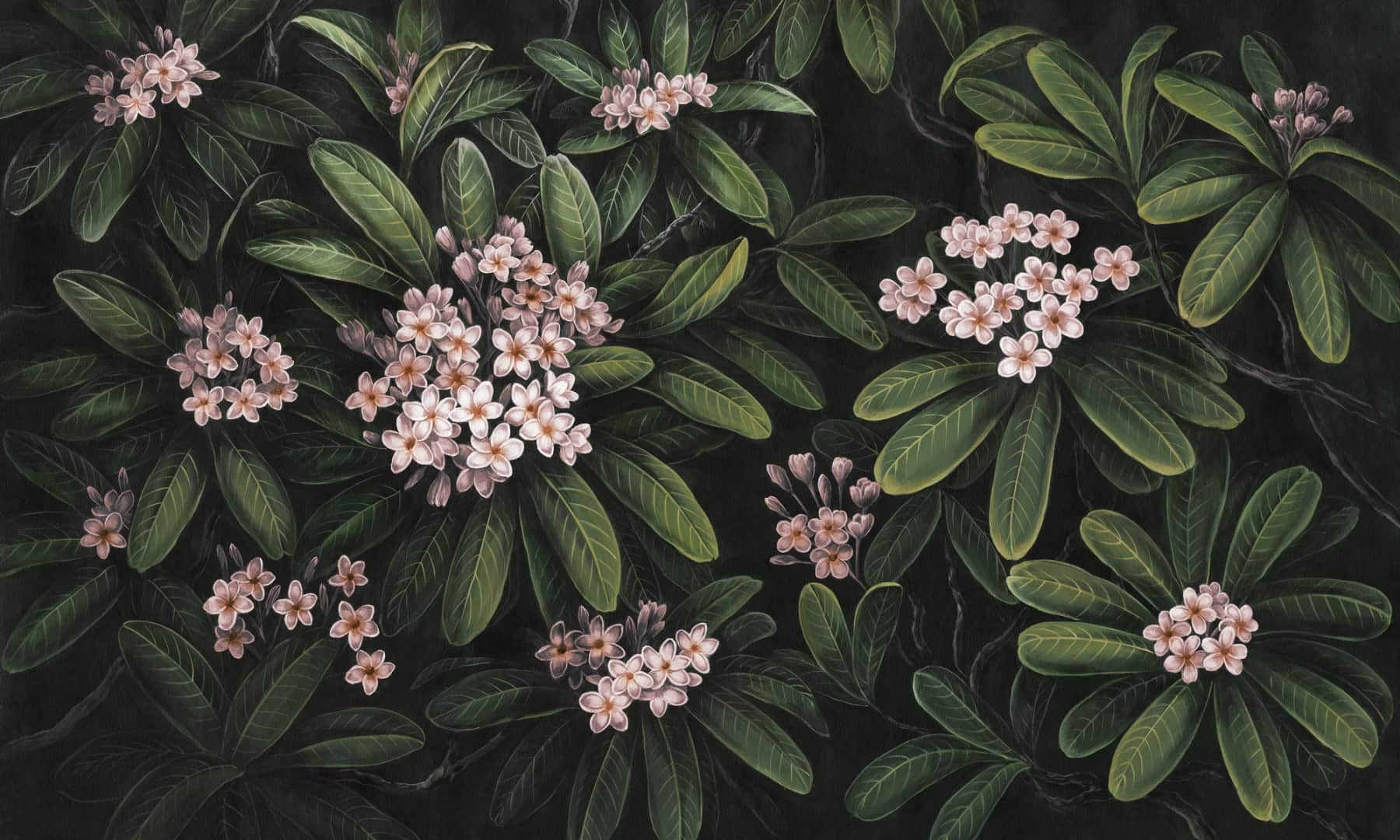 Papier peint Frangipani