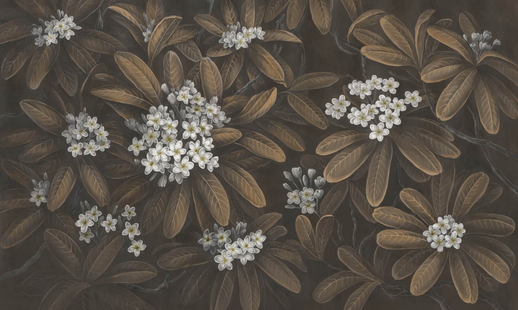 Papier peint Frangipani 3 – Rauv