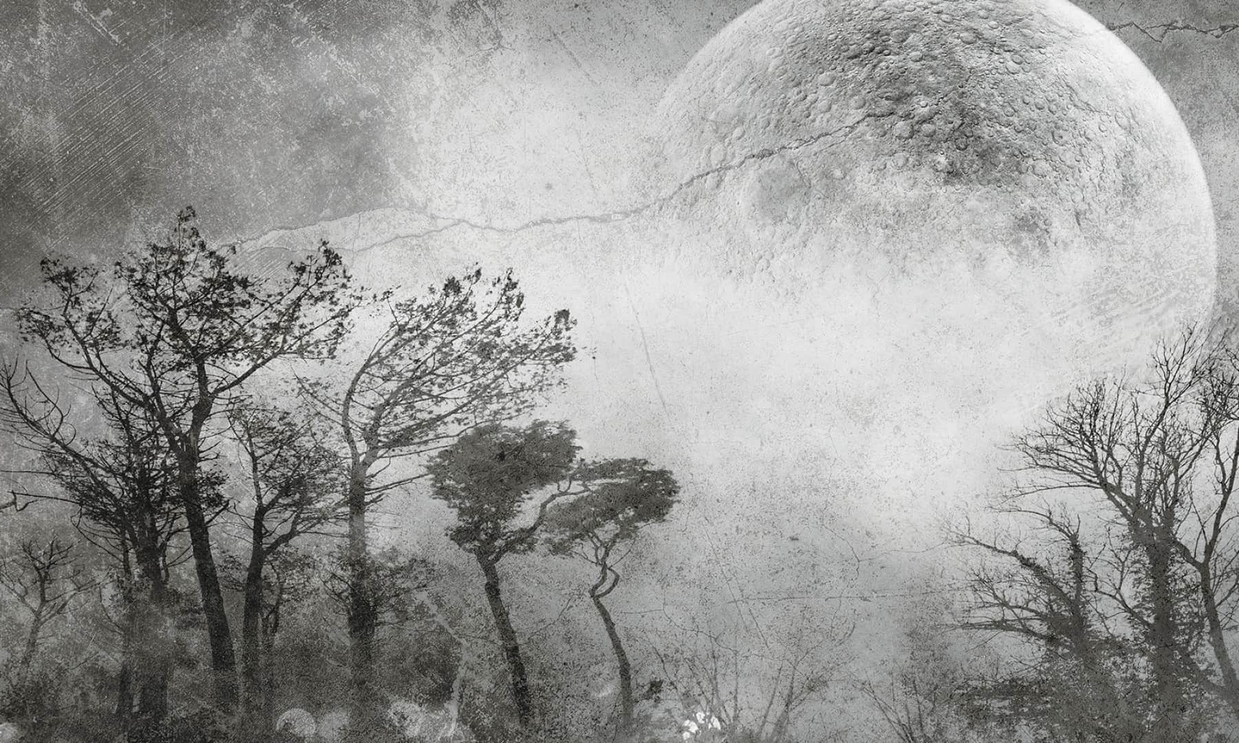 Papier peint Moonlight
