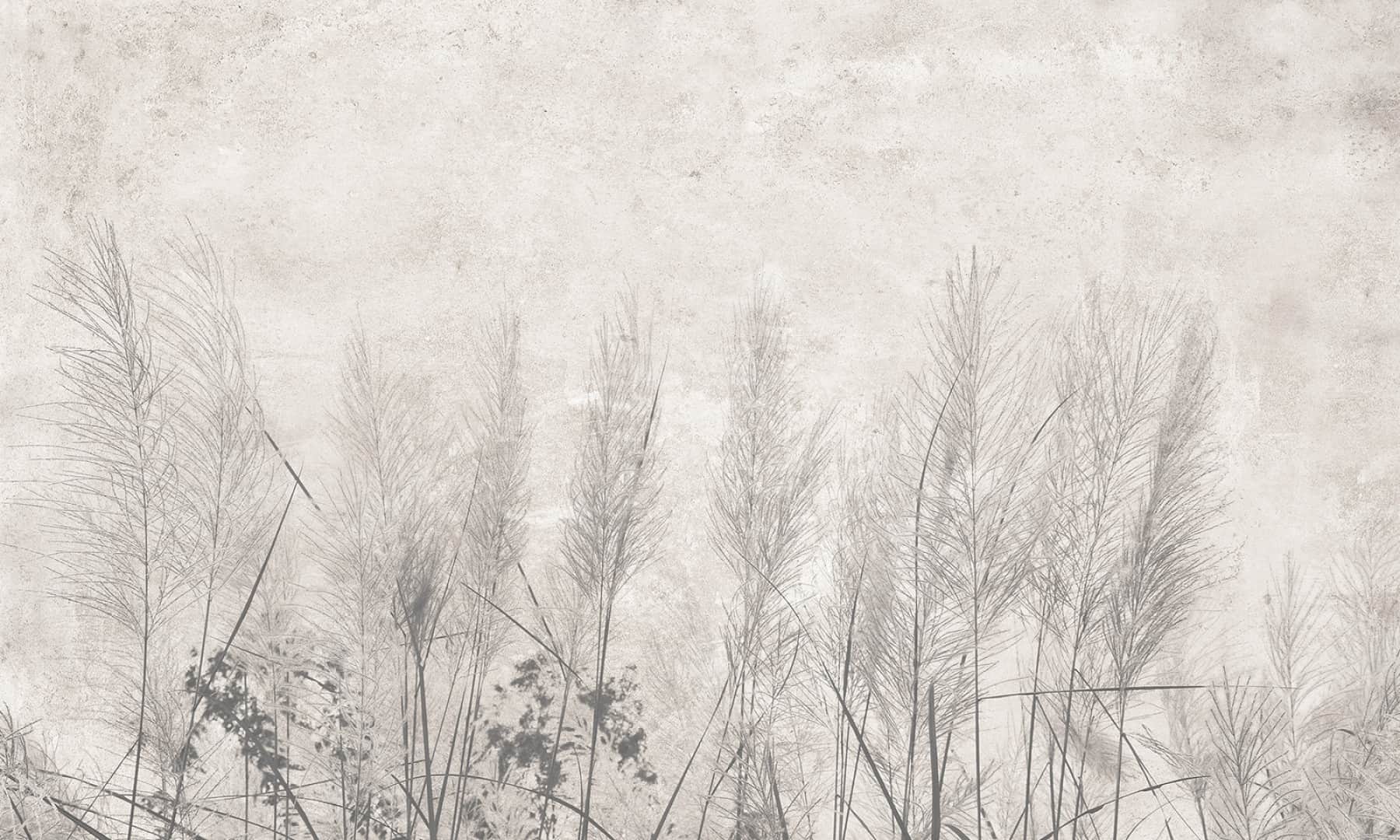 Papier peint Morning mist
