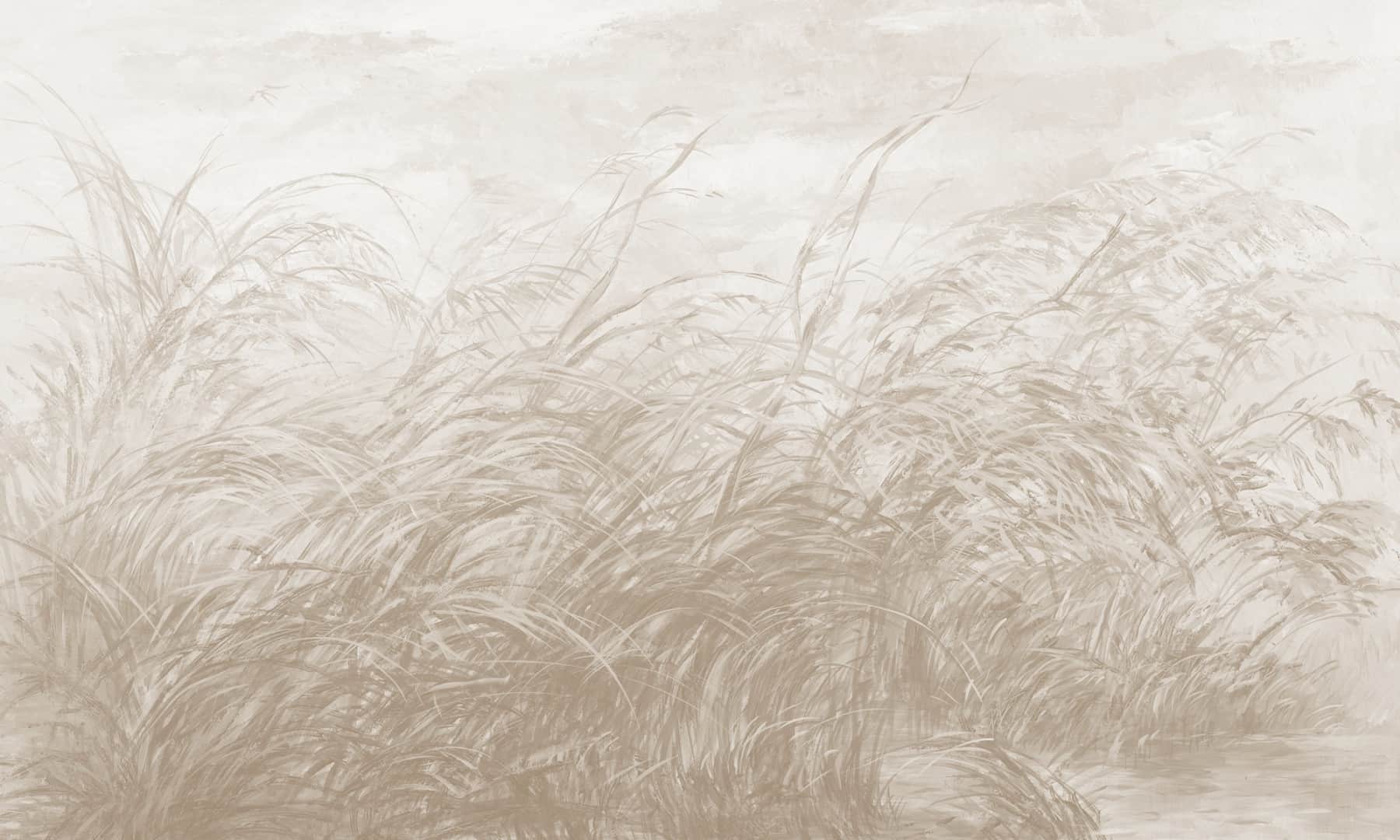 Papier peint Early Dawn 3 – Rauv