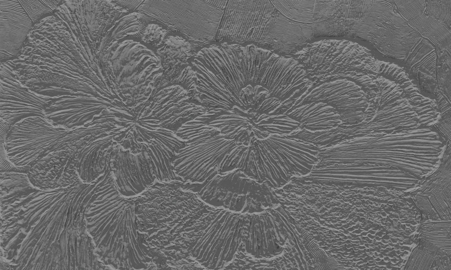 Papier peint Gypsum Petals 3 – Rauv